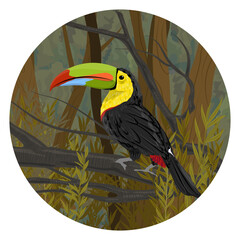 Round composition. Keel-billed toucan sits on a branch in the thickets of tropical plants. Realistic vector landscape.