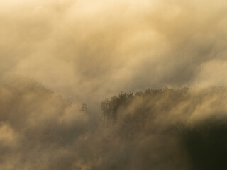 Fototapeta na wymiar Morning mist flows through the mountains.