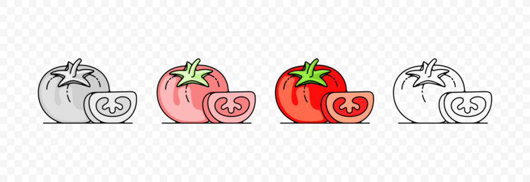Tomato, tomatoes, vegetable, fruit, food and meal, graphic design. Plant, garden, beds, market, agriculture and agricultural, vector design and illustration