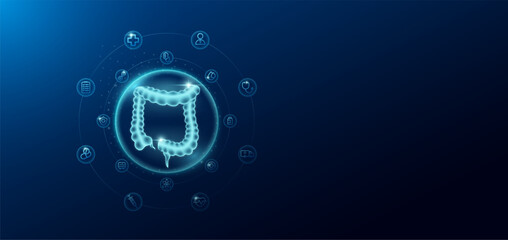 Medical health care. Human intestine in transparent bubbles surround with medical icon. Technology innovation healthcare hologram organ on dark blue background. Banner empty space for text. Vector.