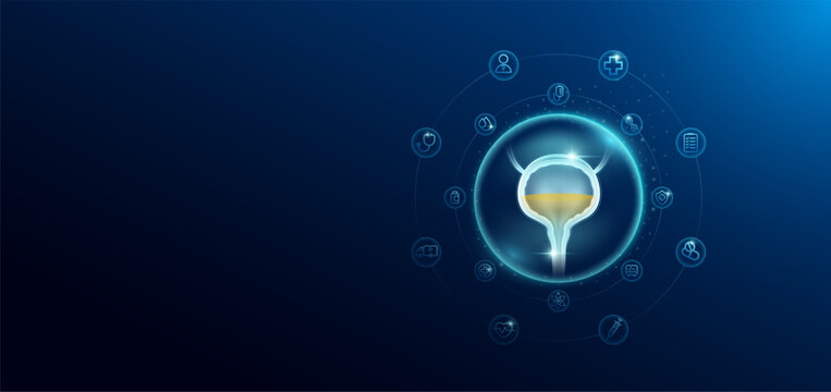 Medical health care. Human bladder in transparent bubbles surround with medical icon. Technology innovation healthcare hologram organ on dark blue background. Banner empty space for text. Vector.