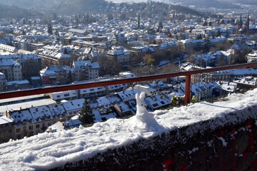 Schneehase auf dem Schlossberg in Freiburg