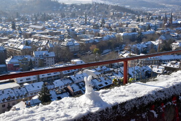 Schneehase auf dem Schlossberg in Freiburg