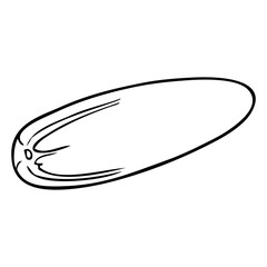 cucumber line vector illustration