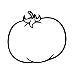 tomato line vector illustration