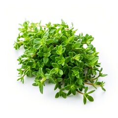 Professional food photography of Thyme, isolated on white background, Thyme isolated on white background