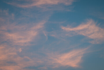 Naklejka na ściany i meble Feather like clouds in sky after sunset. Beautiful evening sky with light clouds