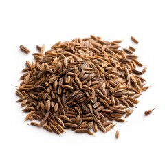 Professional food photography of Caraway seeds, isolated on white background,  Caraway seeds isolated on white background