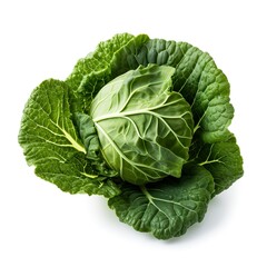 Obraz premium Professional food photography of Collard greens, isolated on white background, Collard greens isolated on white background