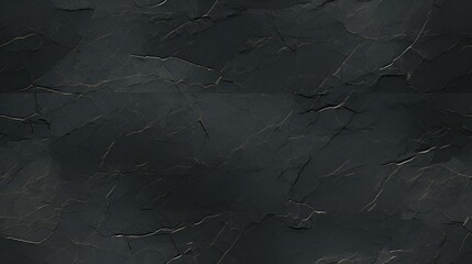 Black Riolite Tile