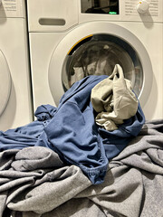 Dirty things against the background of a washing machine. Bed linen is ready for washing. Concept: laundry, laundry.