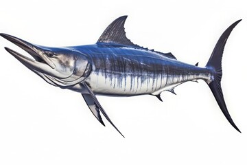 Blue marlin isolated on a white background - obrazy, fototapety, plakaty
