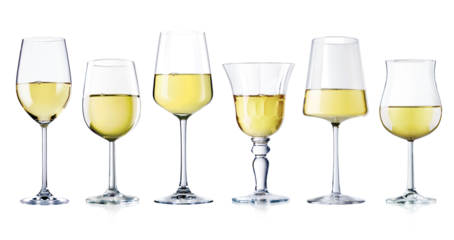  diverse Weissweingläser