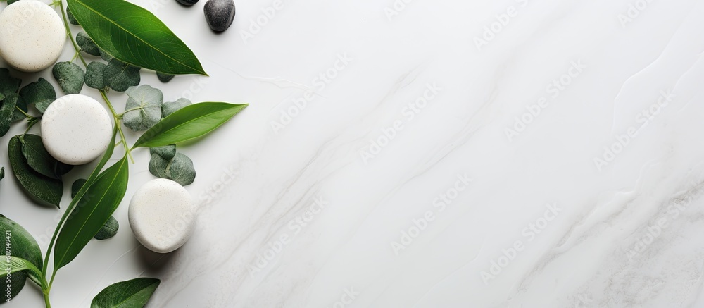 Wall mural organic skincare concept with green leaves and white stone background copy space image place for add