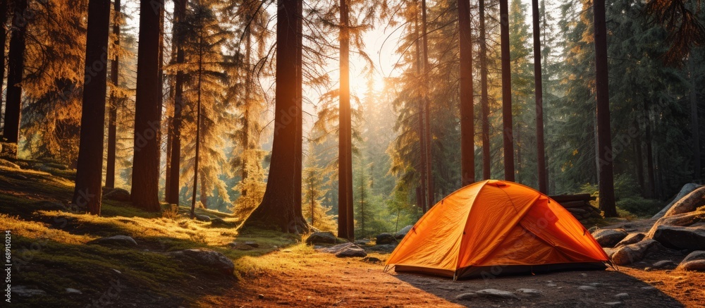 Aufkleber morning forest camping with an orange tent in coniferous summer copy space image place for adding te