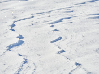Fototapeta na wymiar Snow texture after a snowstorm