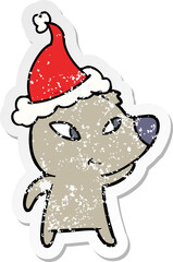 cute hand drawn distressed sticker cartoon of a bear wearing santa hat
