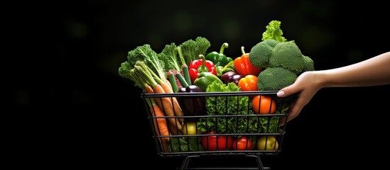 Online shopping for fresh vegetables with woman using a computer representing a lifestyle concept Copy space image Place for adding text or design