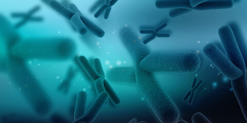 3d rendering human body chromosomes