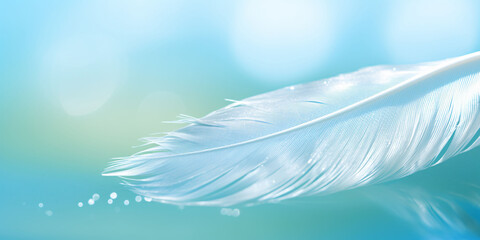 Fototapeta na wymiar White light airy soft bird feather with clean fresh water drops on bluish background. A dreamy beautiful image of the purity and fragility of nature.