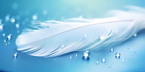 Pure drops of water on a white bird feather on a bluish background. A dreamy, elegant image of nature's fragility and beauty.