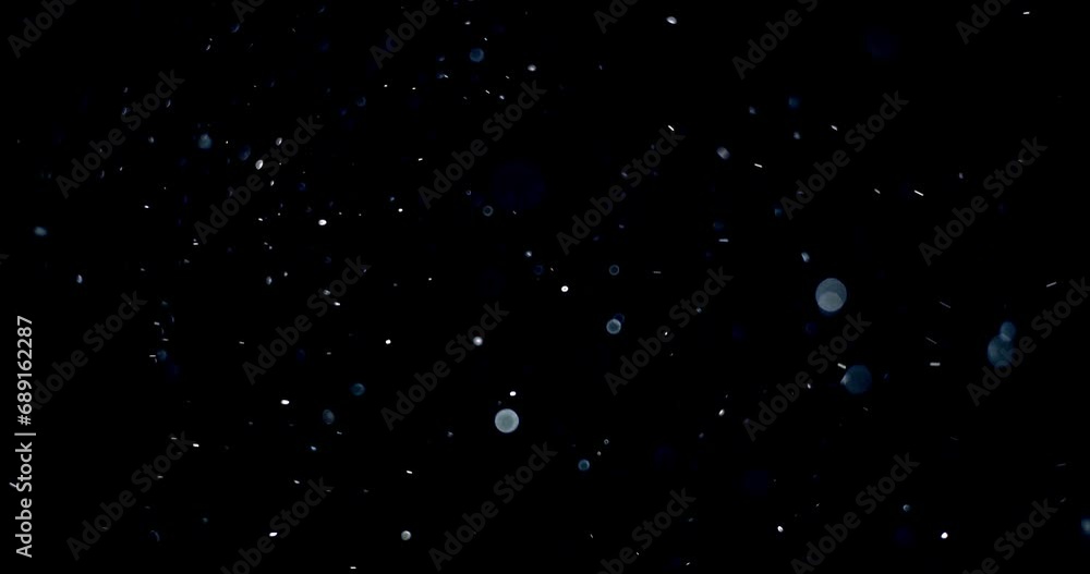Wall mural natural organic dust particles floating on black background. dynamic dust particles randomly float i