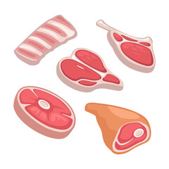 Set meat products. Ribs,  different types steak, haunch with bone. Vector color vector illustration. Icon isolated on white background for poster, menu, brochure, web.