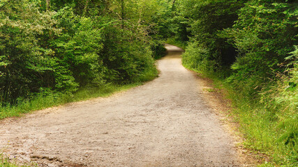 A trail of the Way of Saint James in a beautiful green area with trees.