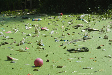 Swamp water contaminated with plastic waste