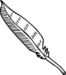 black and white cartoon feather