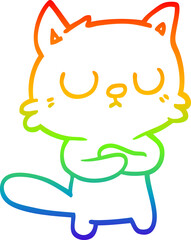 rainbow gradient line drawing of a cartoon cat