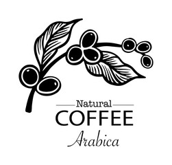 logo design template of coffee tree on sketch ink drawing for label packaging, sticker, poster, promotion, banner, t-shirt, tote bag, stamp