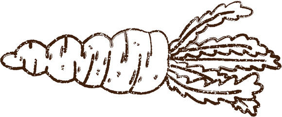 Carrot Charcoal Drawing