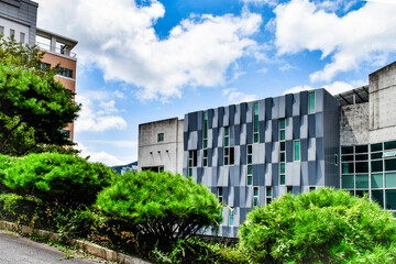 釜山カトリック大学の外国人学生の為の寄宿舎、講義室、休憩室、校庭等の情景