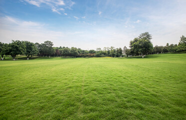 Green lawn in urban public park - Powered by Adobe