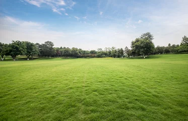 Fototapeten Green lawn in urban public park © EAR