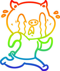 rainbow gradient line drawing of a crying pig cartoon
