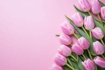 Obraz premium Top View Of Pink Tulip Flowers On A Pink Background. Сoncept Spring Blooms, Tulip Paradise, Pink Floral Delight, Alluring Top View, Serene Flower Garden