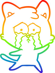 rainbow gradient line drawing of a cartoon crying cat