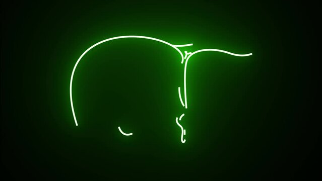 Green neon line Human organ liver icon isolated on black background. Neon medical animation - Liver. Motion graphic animation 4k