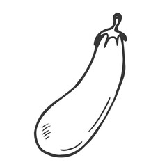 Eggplant graphic drawing. Illustration for menu