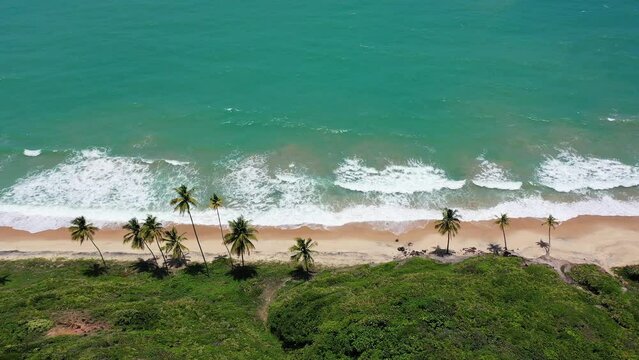 Praia de Coqueirinho na Paraiba Visto de Cima com Drone 4k - Litoral sul da Para&iacute;ba - Nordeste - Brasil - Paraiso 