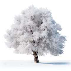 Fotobehang Beautiful winter snowy tree on transparent background, png file © Olha Vietrova