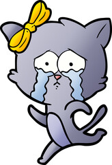 cartoon cat
