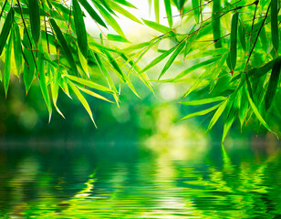 Bamboo leaves reflected in the water, summer background with bokeh effect