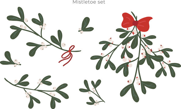 Christmas mistletoe set. Festive bright decorative traditional plant. Hand drawn modern vector isolated clipart