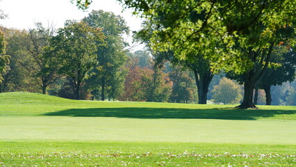 The beautiful autumn view with the colorful trees and leaves in the park