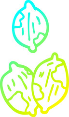 cold gradient line drawing of a cartoon nuts in shells