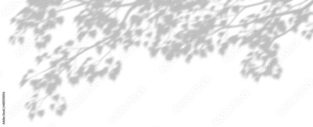 Aufkleber sun shade tree branches on transparent backgrounds 3d rendering png