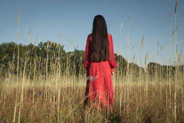 rear view of woman in red dress standing outdoors in grass field 